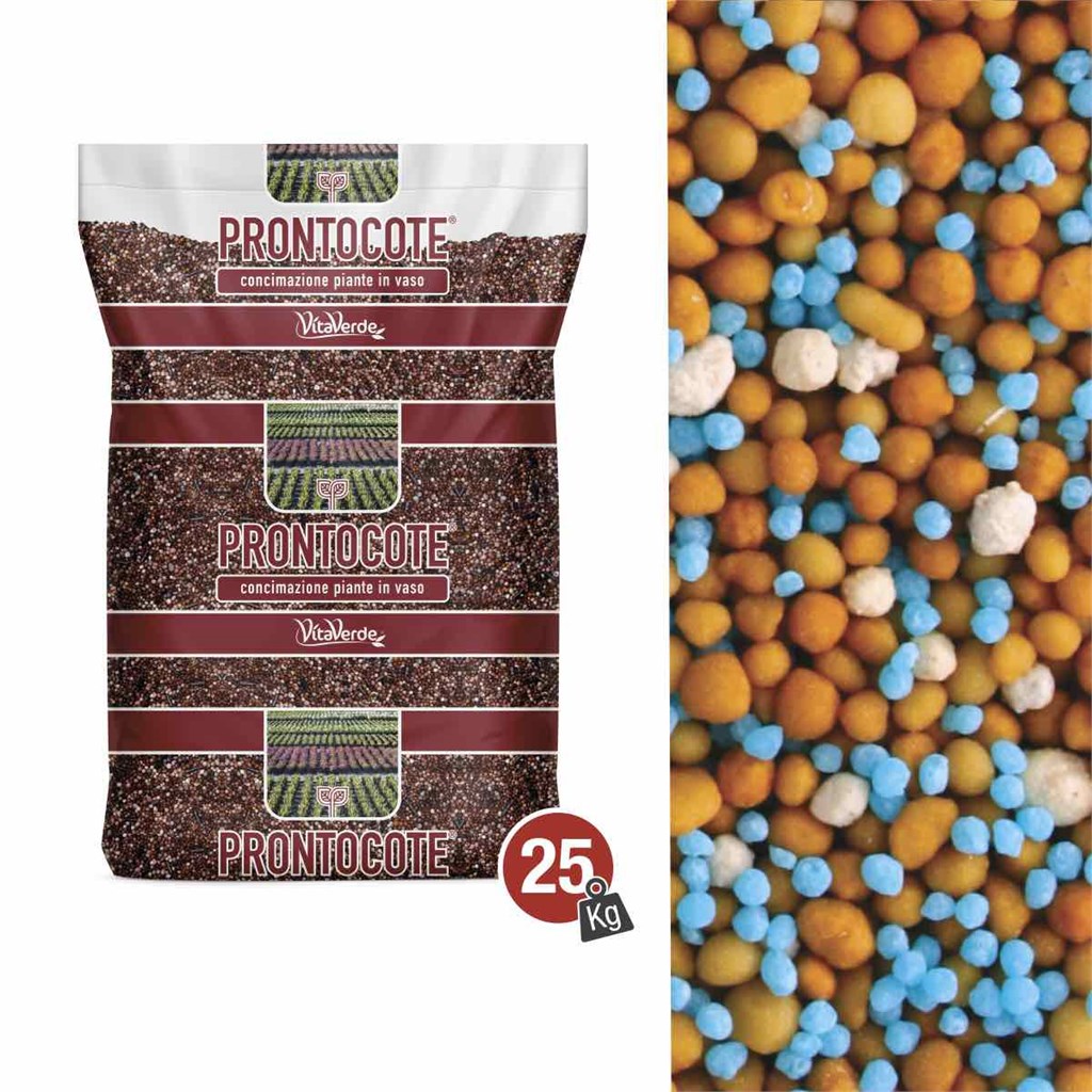 N. 14 PRONTOCOTE 12 SLOW TERRICCIO (18-10-14+3) - 10/12 MESI - KG 25